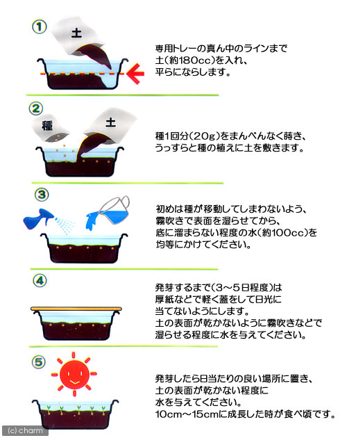 ���饿���ͤ�����ݥ��åȡ�3��ʬ��ǭ���Ӷ��к�������������������