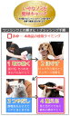 ペティオ　プレシャンテ　のみとりコーム　柄つき　犬　猫　コーム【HLS_DU】　関東当日便