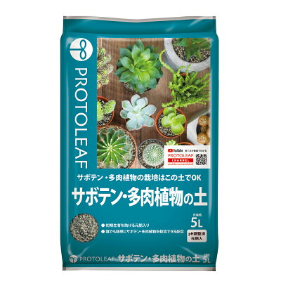 多肉植物用の土