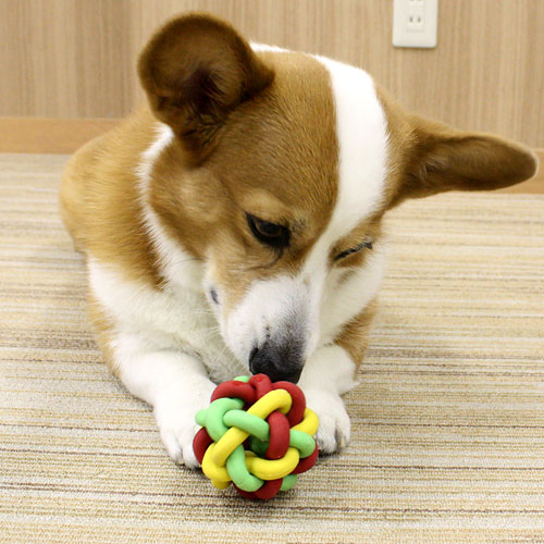 ドギーマン　マカロニラバーボール　M　犬　犬用おもちゃ　関東当日便