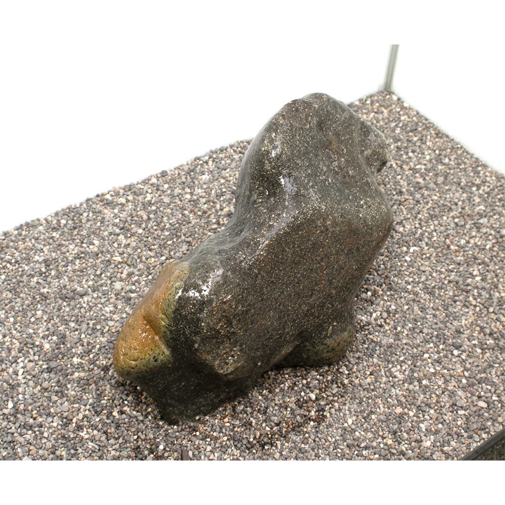 ����ʪ���˳��С����С��緿�����ѡ�857686������������