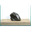 一点物 碧海石 親石 45cm水槽用 858593 関東当日便