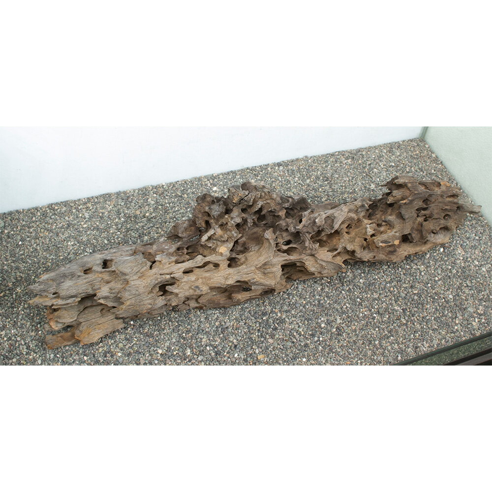 ����ʪ���緿�����ѡ��ϥ˥��०�åɡ�859205������������