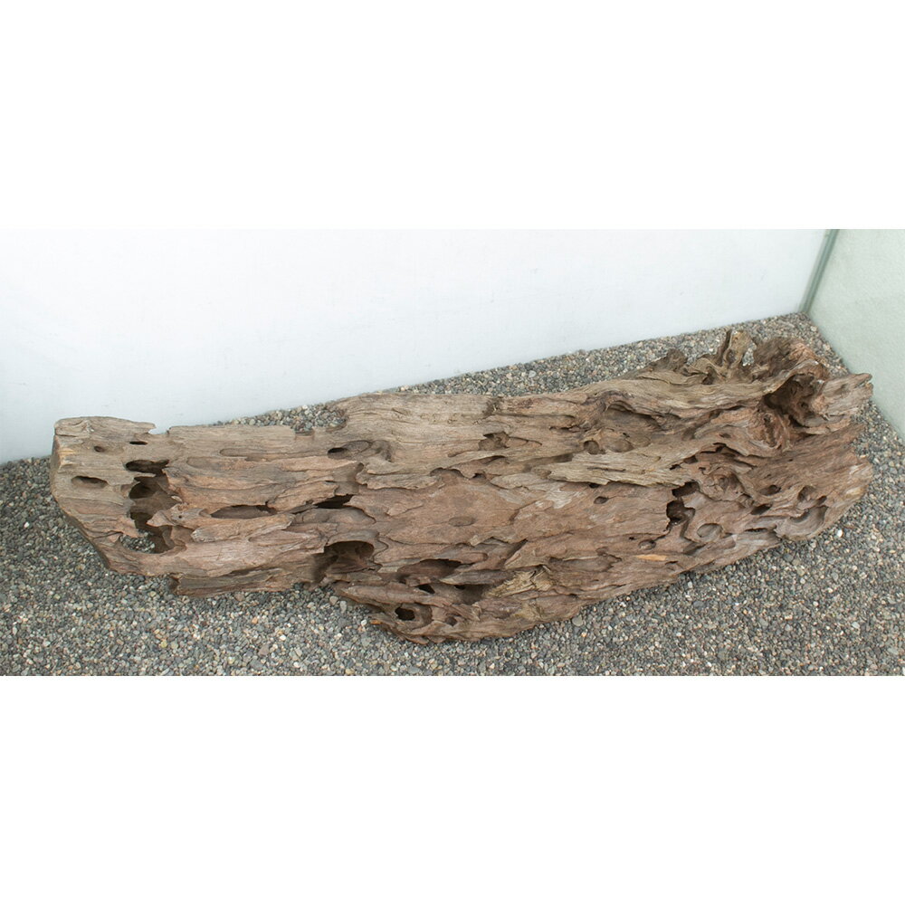 ����ʪ���緿�����ѡ��ϥ˥��०�åɡ�859207������������