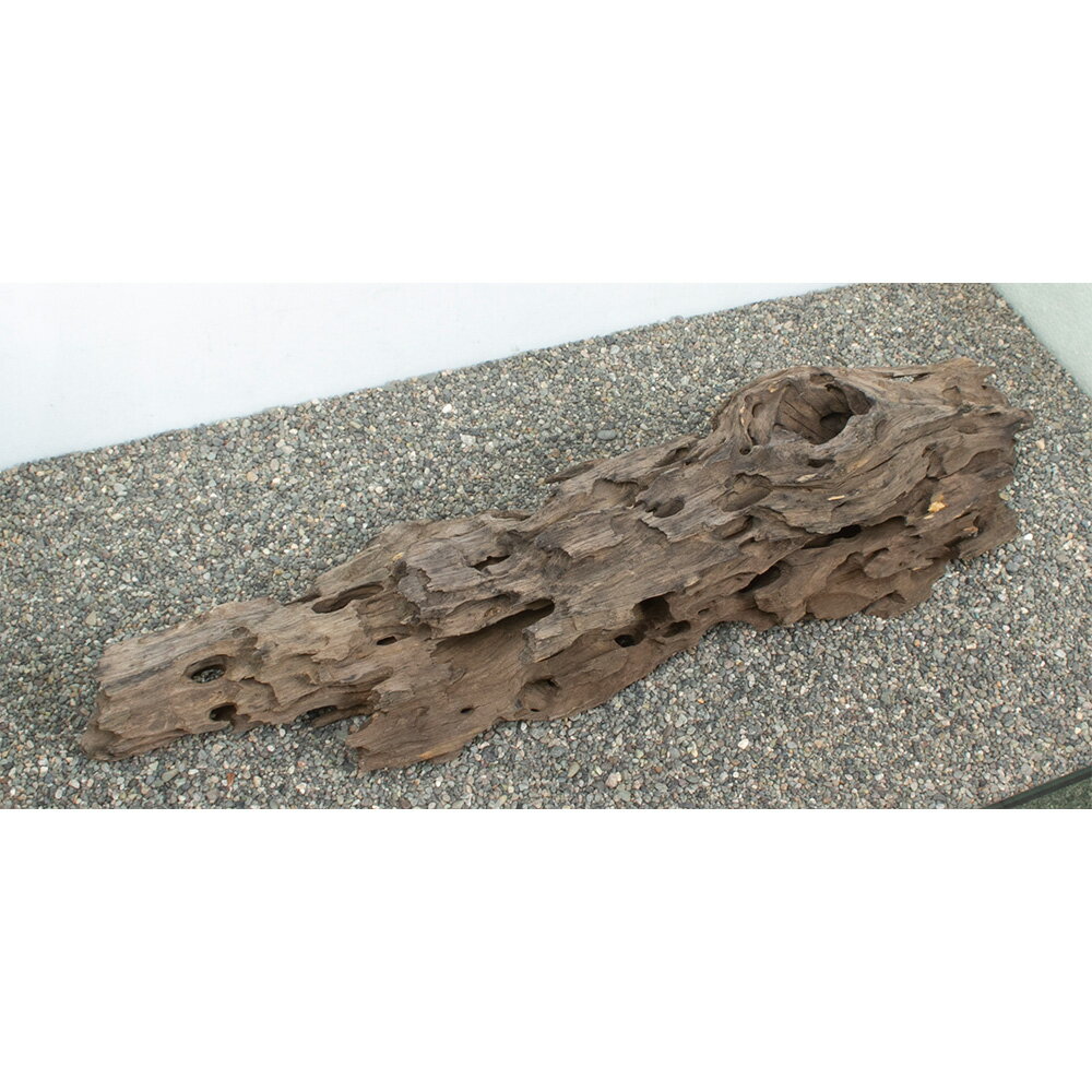 ����ʪ���緿�����ѡ��ϥ˥��०�åɡ�859208������������