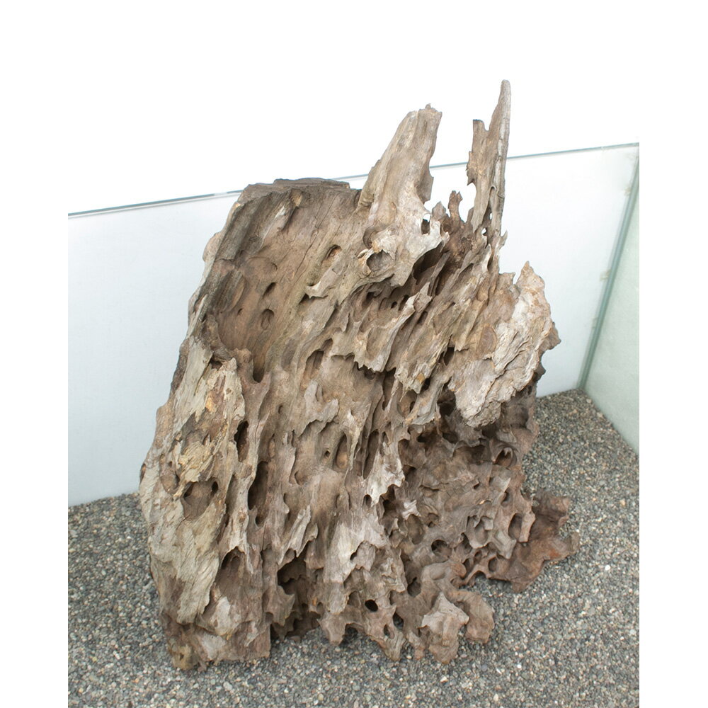 ����ʪ���緿�����ѡ��ϥ˥��०�åɡ�859214������������