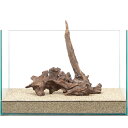 一点物 ドリフトウッド 45cm水槽用 859416 関東当日便