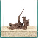 一点物 ドリフトウッド 30cm水槽用 859892 関東当日便