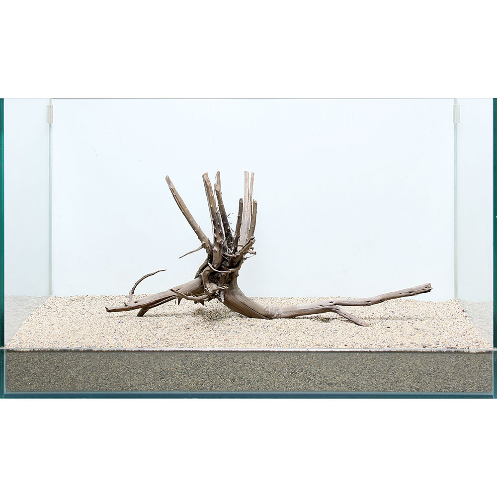 レイアウト水槽で欠かせない 流木 の種類とその特徴について 熱帯魚 アクアリウム Road To Aquarist