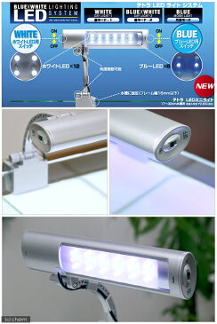 テトラ　LEDミニライト　LED−MINI　小型水槽用照明　熱帯魚　水草　アクアリウムライト　関東当日便