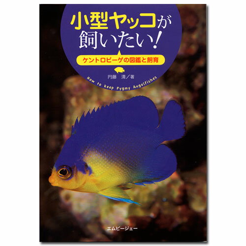 アクアライフの本 小型ヤッコが飼いたい! 書籍