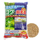 GEX ベストサンド 6L ジェックス 関東当日便