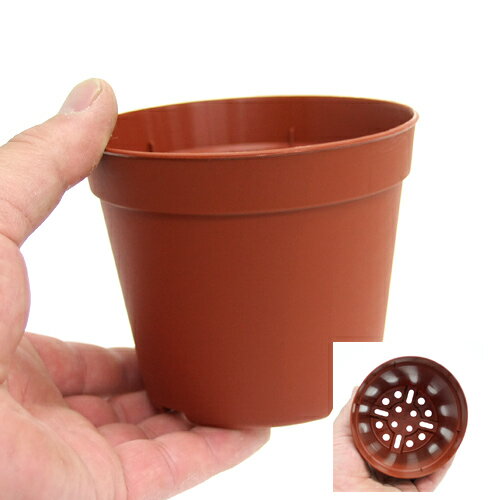 ȭ���ץ�ݥåȡ�10��5cm���㡡�ꤢ�꥿���ס�10�ĥ��åȡ�����������