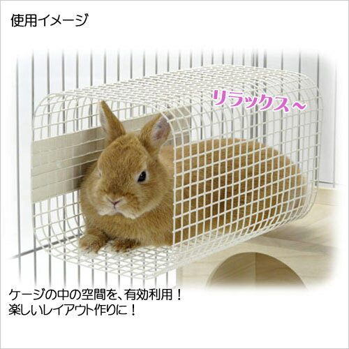 �������񡡥�å���ȥ�ͥ롡L����������������顡�ϥ���������������������������