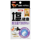 コメット 塩で健康 納豆菌 10個入り 関東当日便