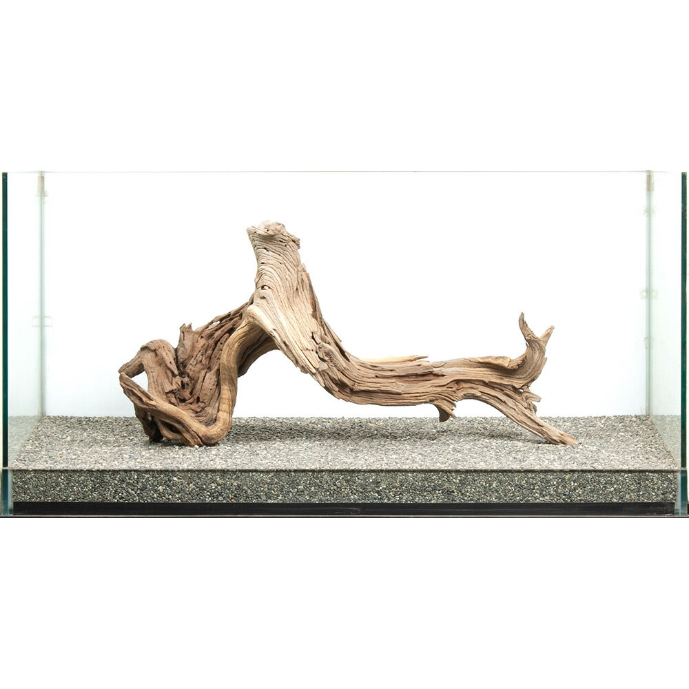 一点物　ゴーストウッド　大型水槽用　880035　関東当日便