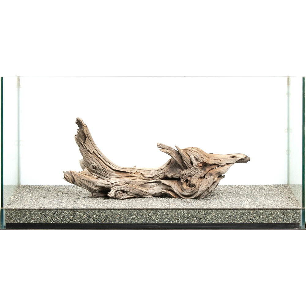 ����ʪ���������ȥ��åɡ��緿�����ѡ�880041������������