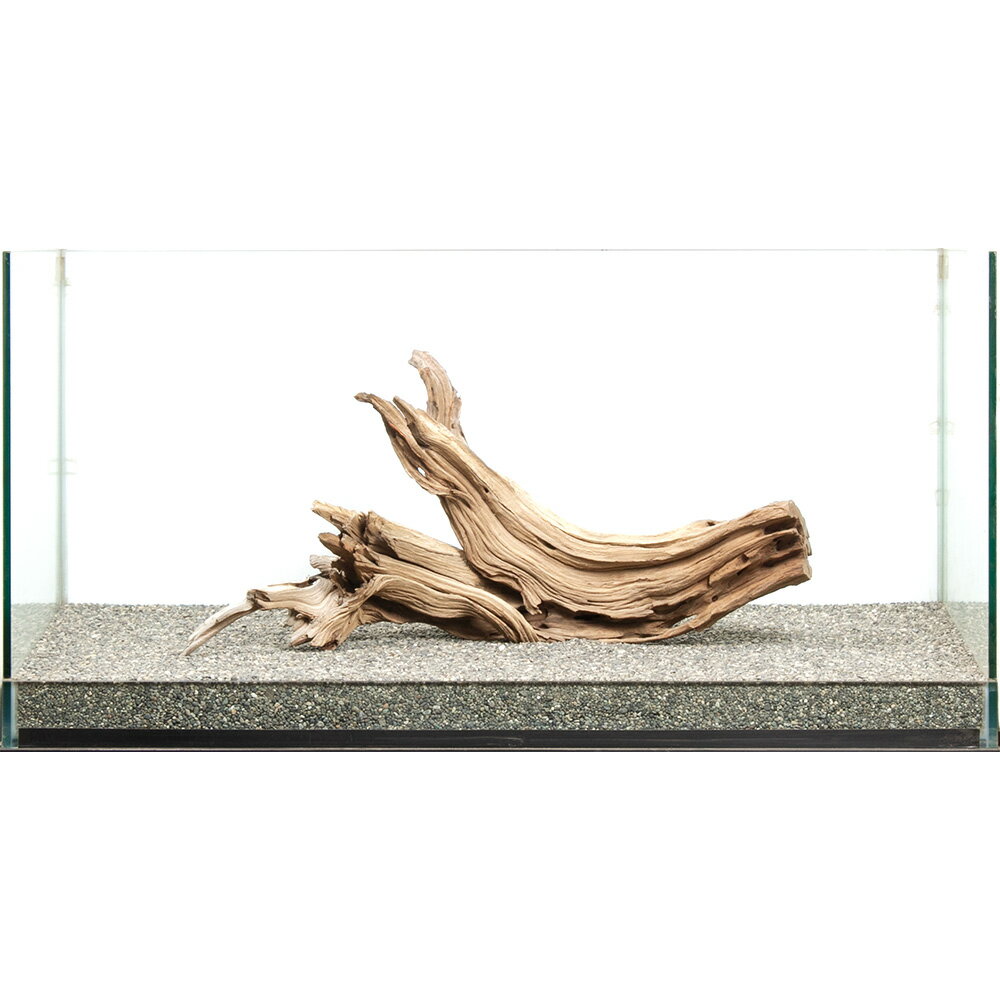 ����ʪ���������ȥ��åɡ��緿�����ѡ�880050������������