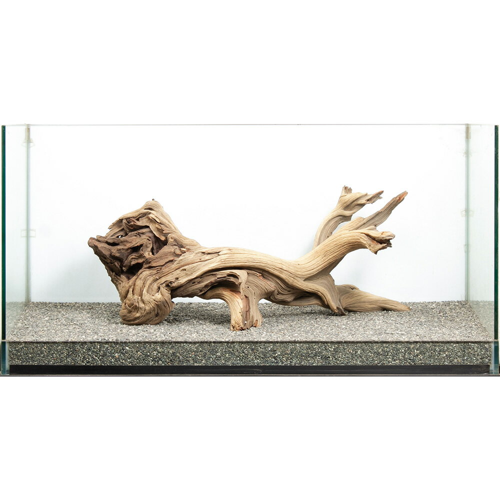 一点物　ゴーストウッド　大型水槽用　880057　関東当日便