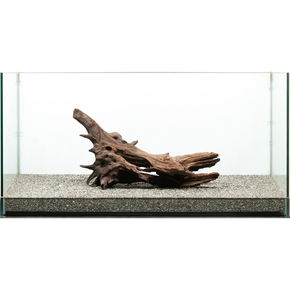 ����ʪ���ɥ�եȥ��åɡ��緿�����ѡ�880164������������