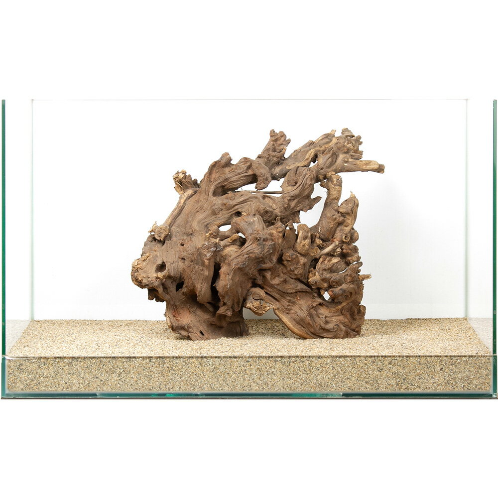 一点物　サンゴウッド　60cm水槽用　880210　関東当日便