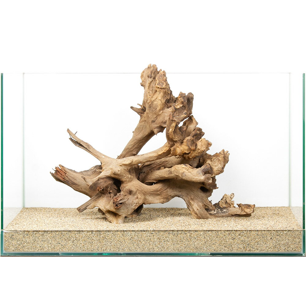 ����ʪ�����󥴥��åɡ�60cm�����ѡ�880211������������