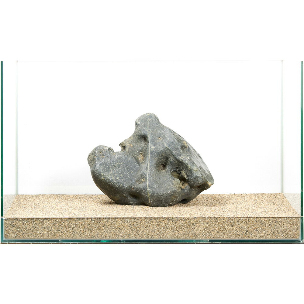 一点物　碧海石　親石　60cm水槽用　880307　関東当日便