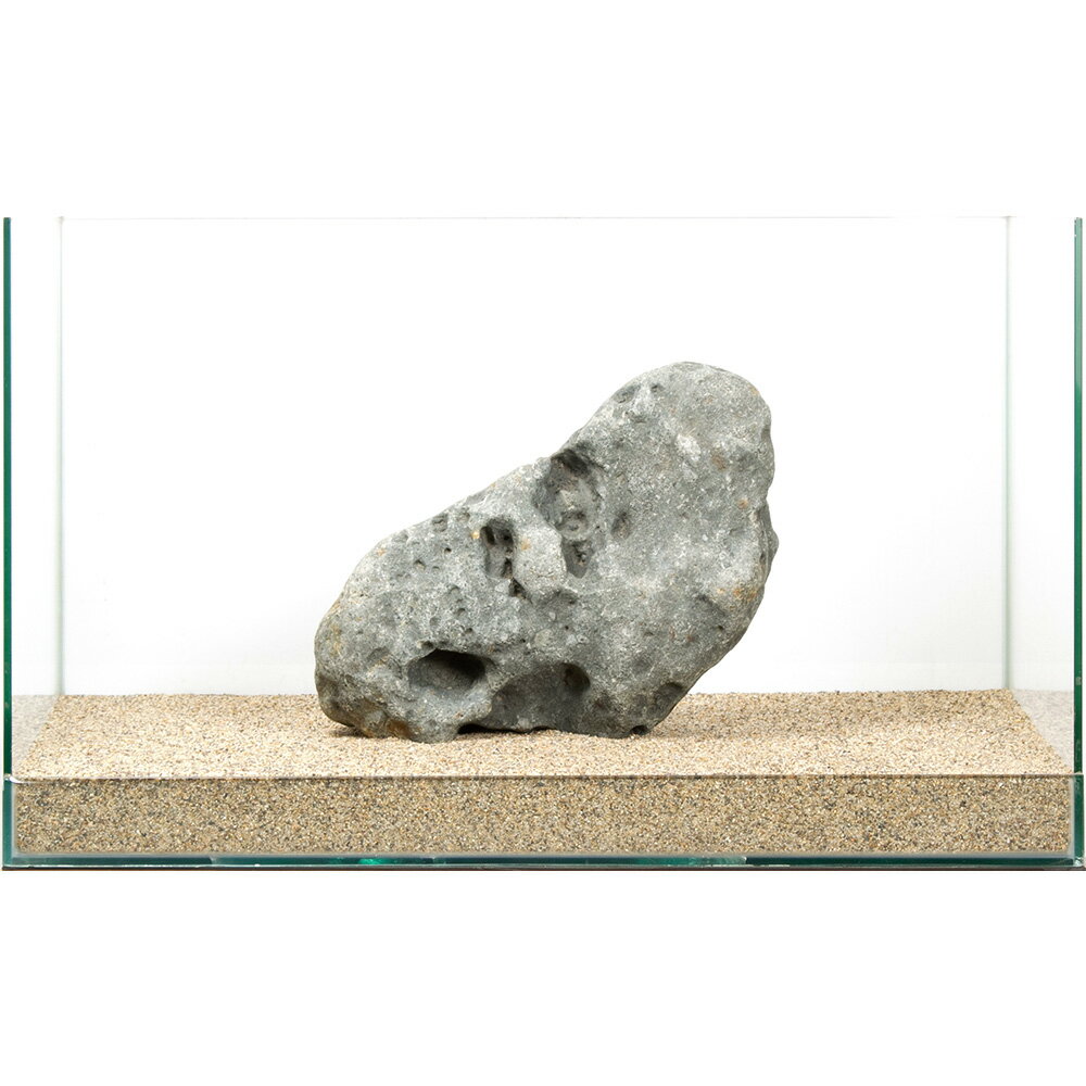 一点物　碧海石　親石　60cm水槽用　880312　関東当日便