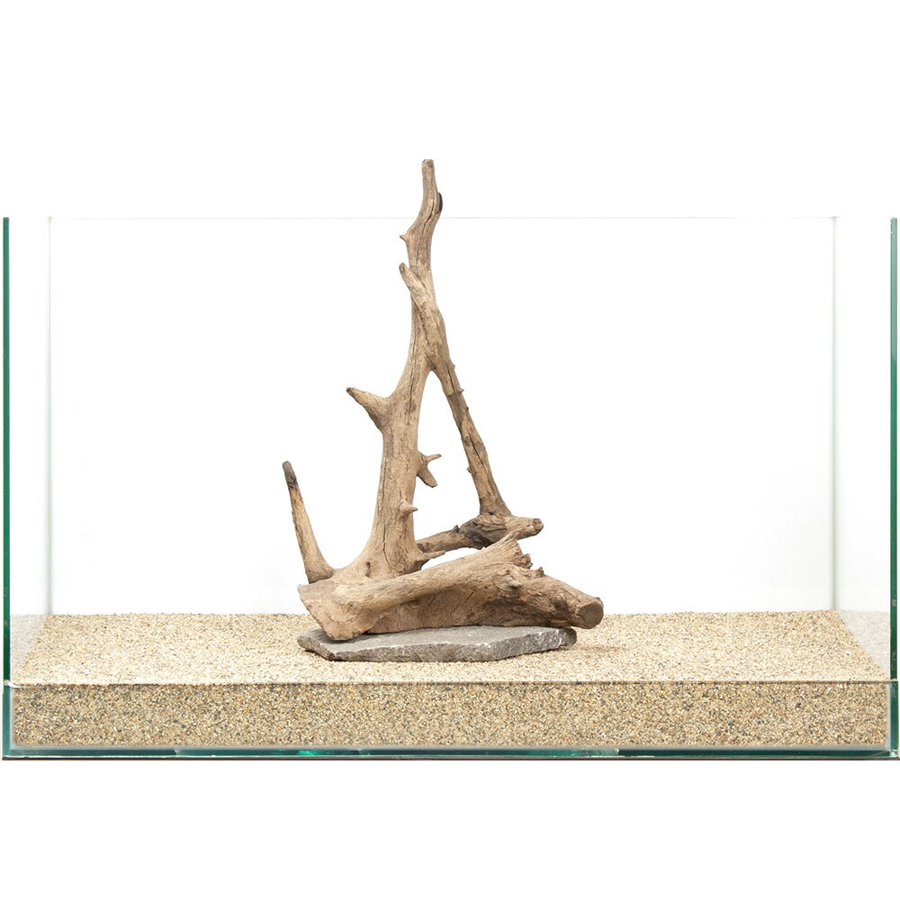 ����ʪ���������դ��ۡ��󥹥���ץ��åɡ�60cm�����ѡ�880324������������