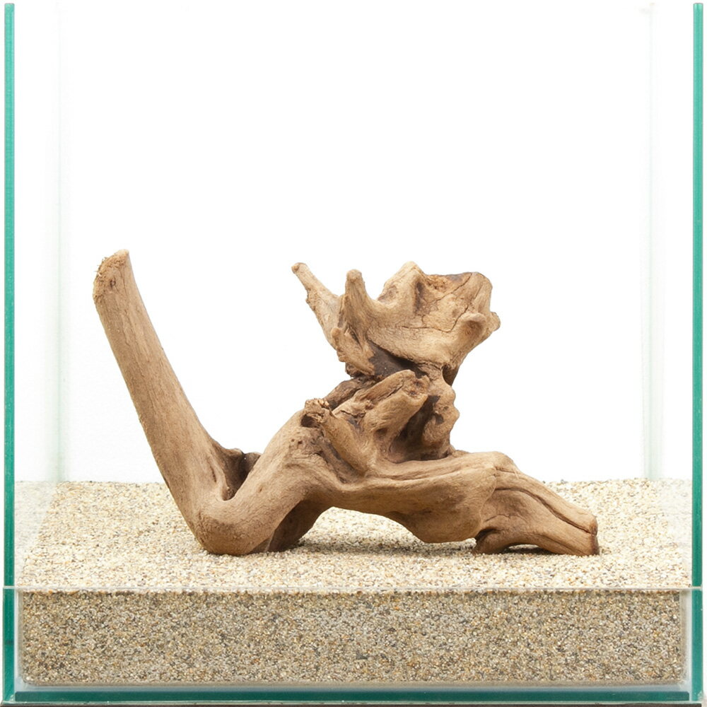 一点物　上質流木　雅　30cm水槽用　880351　関東当日便