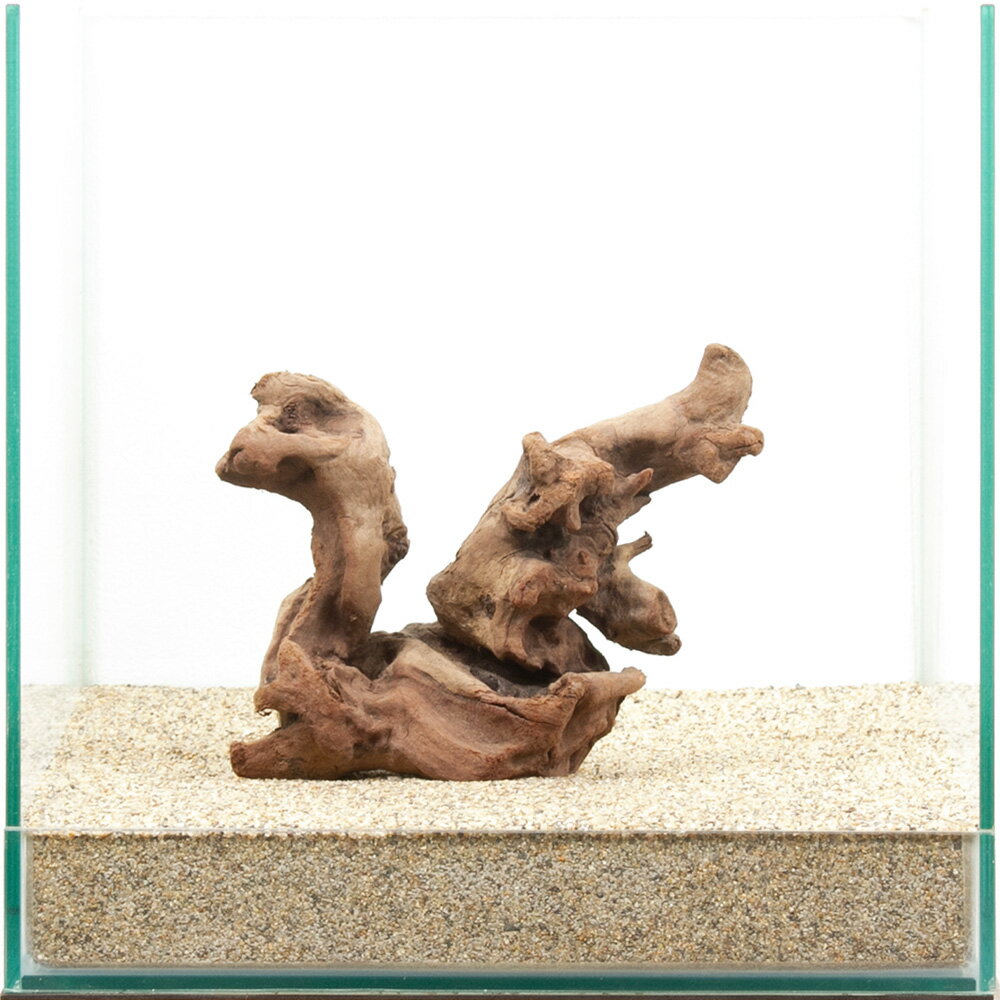 一点物 上質流木 雅 30cm水槽用 880386 関東当日便