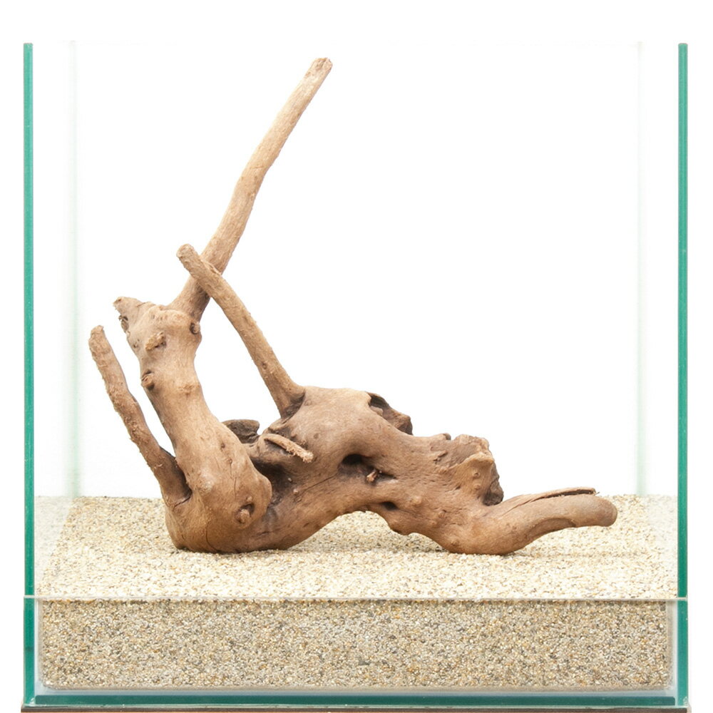 一点物 上質流木 雅 30cm水槽用 880395 関東当日便