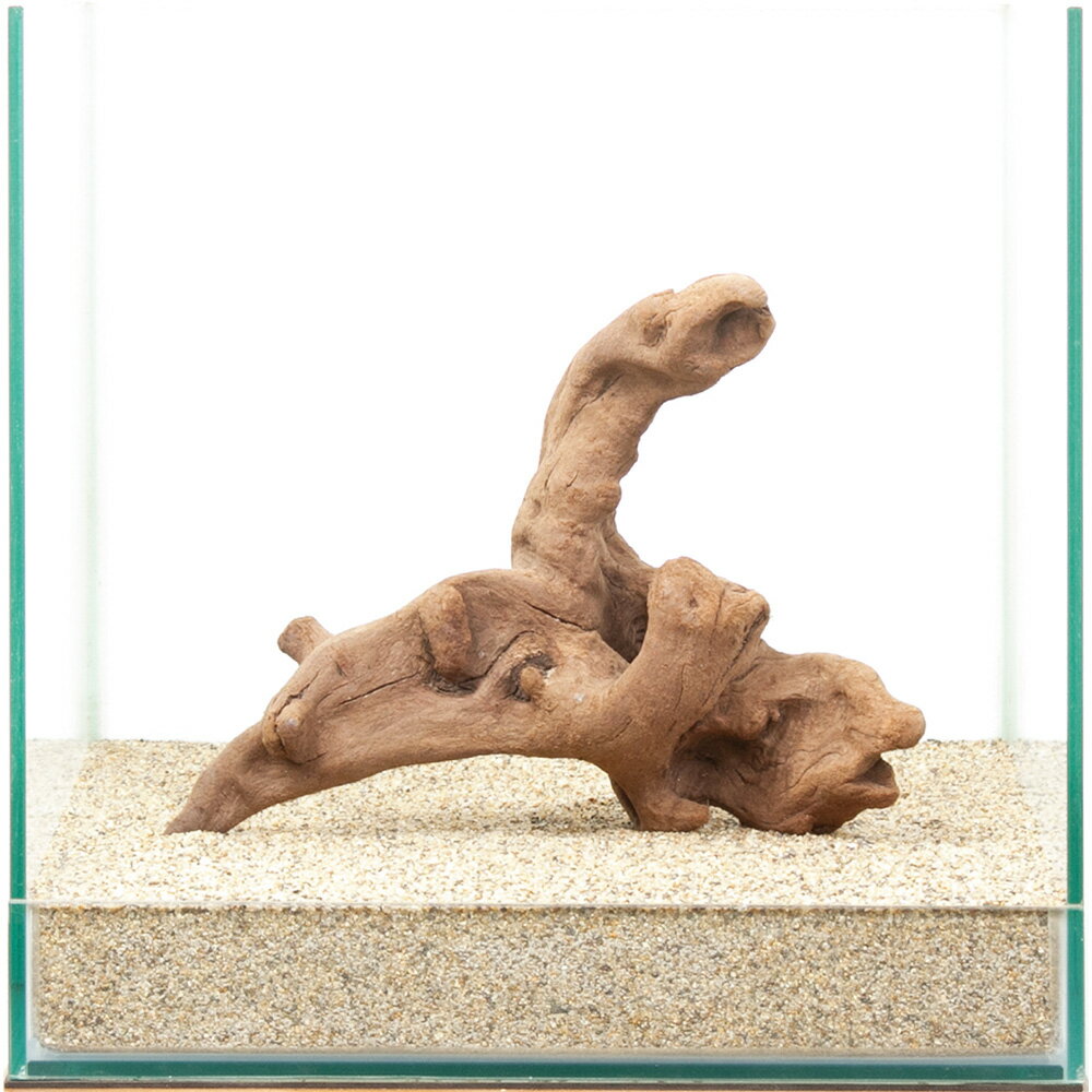 一点物　上質流木　雅　30cm水槽用　880401　関東当日便