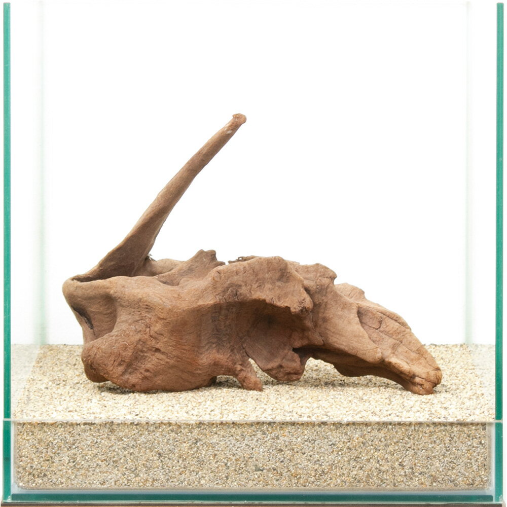 一点物　上質流木　雅　30cm水槽用　880406　関東当日便