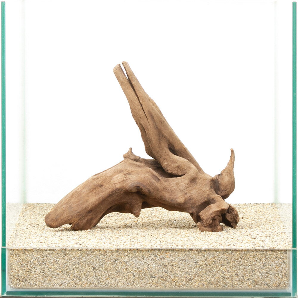 一点物　上質流木　雅　30cm水槽用　880411　関東当日便