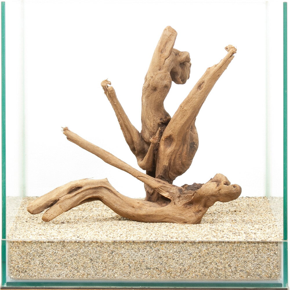 一点物　上質流木　雅　30cm水槽用　880413　関東当日便
