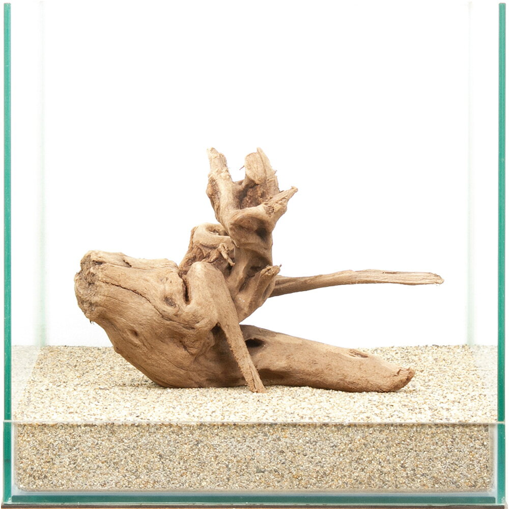 一点物 上質流木 雅 30cm水槽用 880414 関東当日便