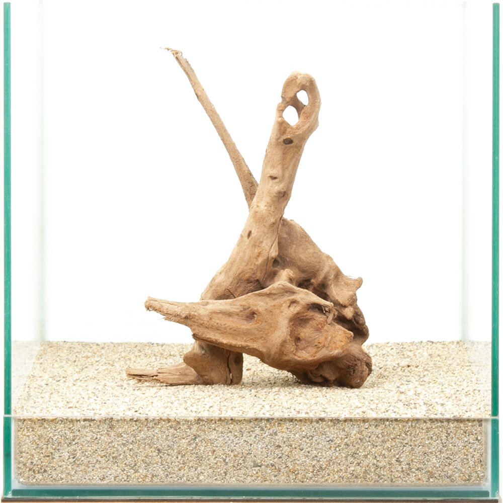 一点物 上質流木 雅 30cm水槽用 880416 関東当日便