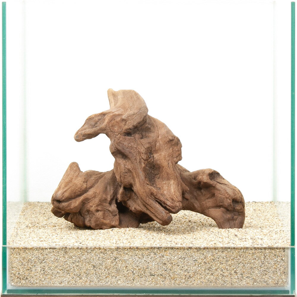 一点物 上質流木 雅 30cm水槽用 880418 関東当日便