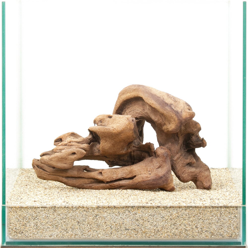 一点物　上質流木　雅　30cm水槽用　880422　関東当日便