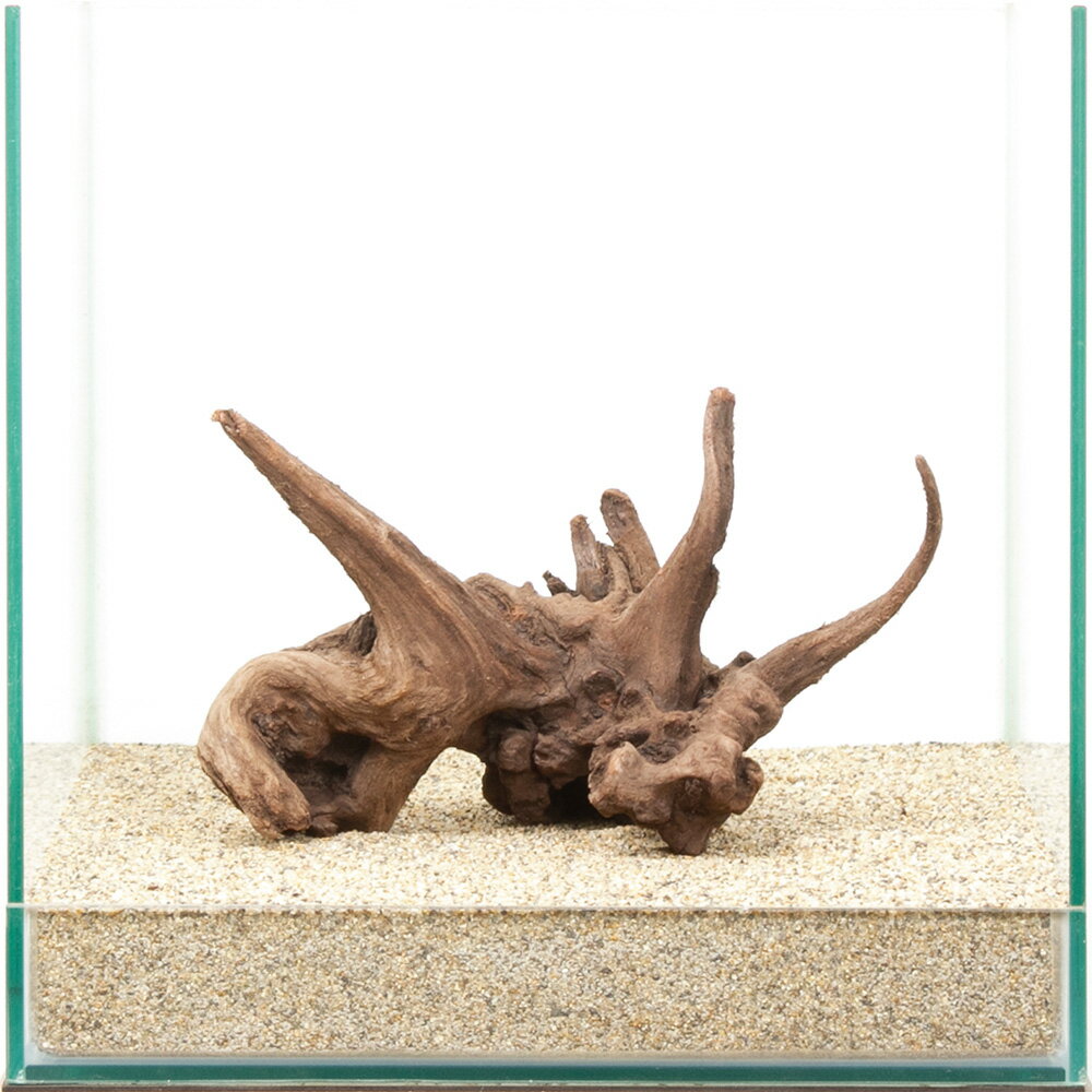 一点物　上質流木　雅　30cm水槽用　880428　関東当日便