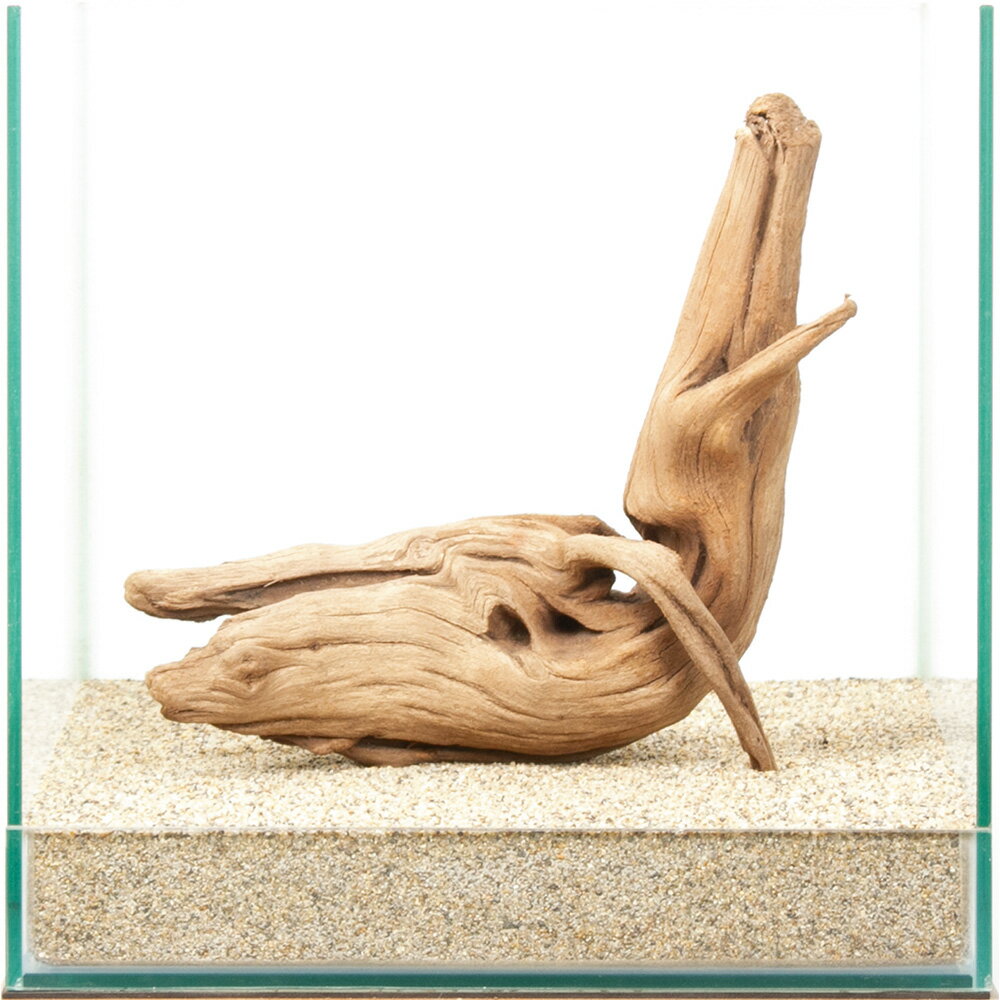 一点物 上質流木 雅 30cm水槽用 880433 関東当日便