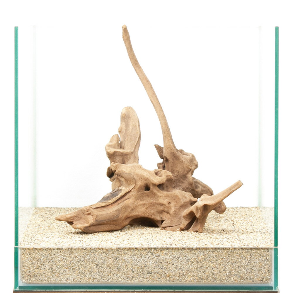 一点物　上質流木　雅　30cm水槽用　880434　関東当日便