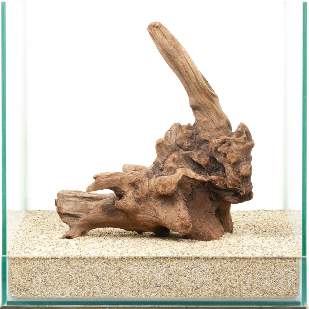 一点物 上質流木 雅 30cm水槽用 880437 関東当日便