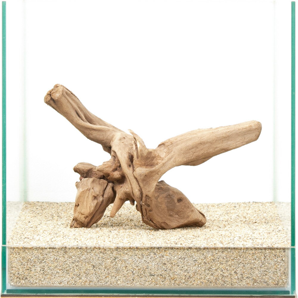 一点物　上質流木　雅　30cm水槽用　880438　関東当日便