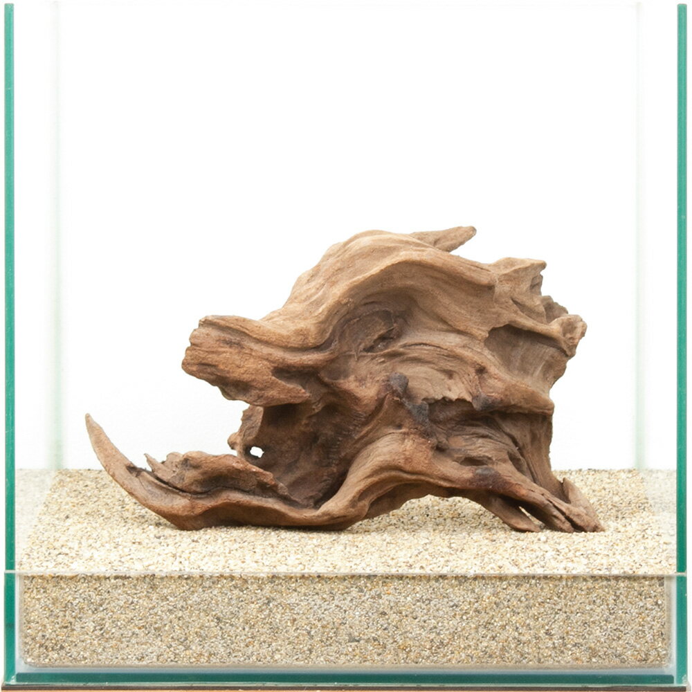 一点物 上質流木 雅 30cm水槽用 880441 関東当日便