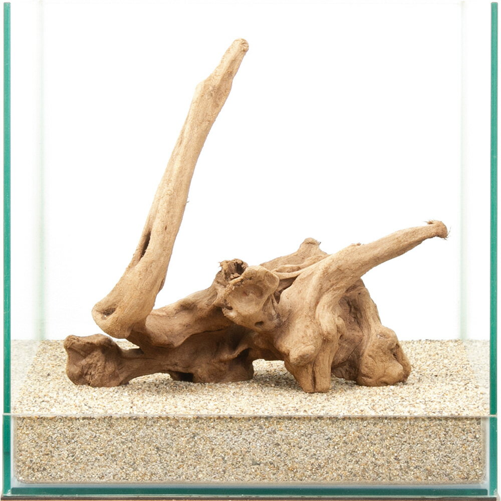 一点物　上質流木　雅　30cm水槽用　880443　関東当日便