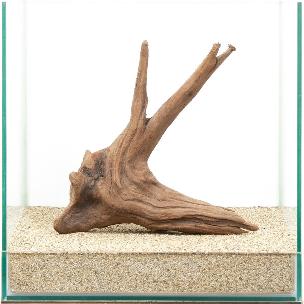 一点物　上質流木　雅　30cm水槽用　880444　関東当日便