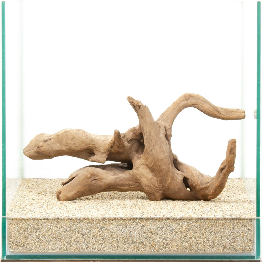 一点物　上質流木　雅　30cm水槽用　880448　関東当日便