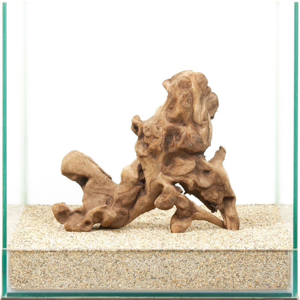 一点物　上質流木　雅　30cm水槽用　880450　関東当日便